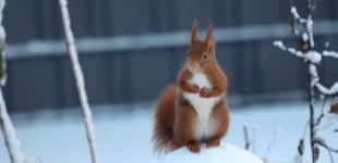 Холодний фронт залишає країну: коли настане справжнє потепління — прогноз