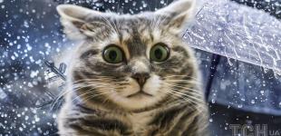 Повернення пуховиків: синоптикиня назвала точну дату різкого похолодання в Україні