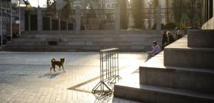 Температура різко зміниться: прогноз погоди в Києві на 11 березня