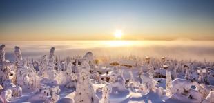 В Лапландии зафиксировали самую высокую температуру за более чем сто лет