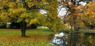 В Украине в ближайшие дни – почти летнее тепло