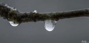 Гороскоп на 11 лютого для всіх знаків зодіаку: день, коли потрібно приводити в дію готові плани