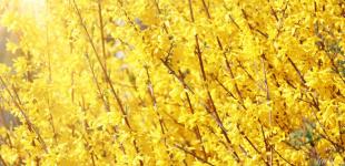 Гороскоп на 24 березня для всіх знаків зодіаку: день, коли буде час для роботи над помилками