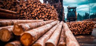 Для учасників ринку необробленої деревини відбулося четверте навчання щодо системи оцінки ризику контрагента учасників клірингу