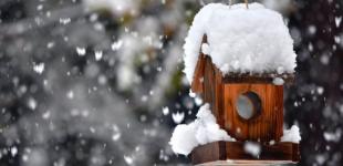 Синоптики назвали дату потепления в Украине