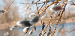 Весна задерживается, идет похолодание: синоптик уточнил прогноз погоды на начало марта