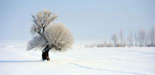 Гороскоп на 15 лютого для всіх знаків зодіаку: день, коли агресивна поведінка під забороною