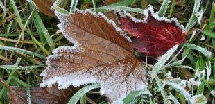 Ударят морозы до -6: синоптики рассказали, когда ждать 