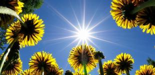 В Украину придет жара с грозами: синоптики назвали дату ухода дождей