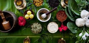 Безопасно ли лечиться по аюрведе?