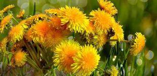 Наконец-то в Украину идет долгожданное потепление