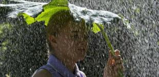 Жара в Украине скоро спадет, и придут обильные осадки