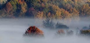 Институт Нацпамяти рассказал, что будет с мостом Патона и Родиной-Матерью в Киеве