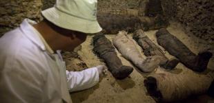 В Египте археологи раскопали уникальные артефакты и 50 мумий 