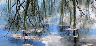 Cурок-синоптик дал прогноз, когда ждать настоящей весны в Украине