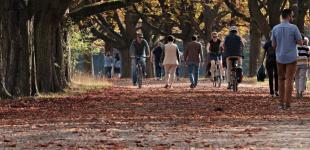 Прогноз погоди на 13 листопада: в Україні буде суха і тепла погода