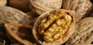 Ученые открыли неожиданное свойство грецких орехов