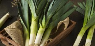 Чем особенно полезен лук-порей