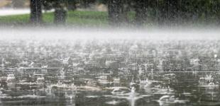 В Украине местами кратковременный дождь, гроза