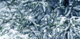 Погода в Україні на суботу, 29 січня