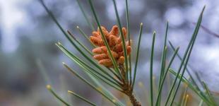 Погода в Украине на субботу, 26 февраля