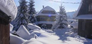 Снег завалил дома по крыши: В Карпатах рекордные сугробы 