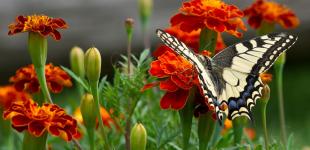 В Украину идет резкое похолодание