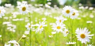 Лето все ближе: синоптик рассказала, когда в Украине потеплеет до +30