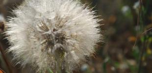 Погода в последние летние выходные порадует теплом