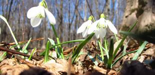 Появился детальный прогноз погоды на март, апрель и май в Украине