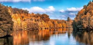 Коли до України прийде бабине літо та скільки воно триватиме