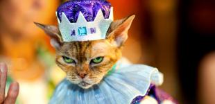 Как компании прожить без дорогого маркетолога