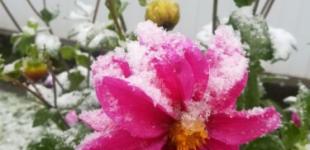 В Красноярском крае России выпал первый снег 