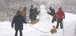 Синоптик розповів, якою буде погода на Різдво