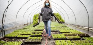 Яку зарплату заробітчани отримують у Польщі і скільки з них переказують її до України - результати опитування