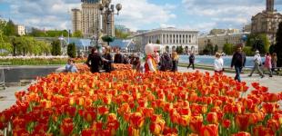 Арестович розповів, коли кияни, які покинули столицю через війну, зможуть повернутися додому