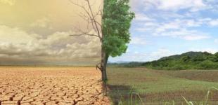 Украину ждут катастрофические изменения погоды