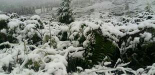 В Карпатах из-за снега эвакуируют детский палаточный лагерь