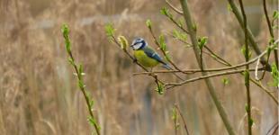 У найближчі дні українцям слід очікувати помірно теплу погоду, місцями дощі