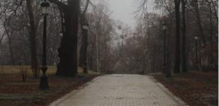 Местами до +12. Синоптик спрогнозировала в Украине значительное потепление и дожди