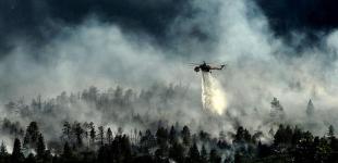 ООН зафиксировала самую высокую температуру в Арктике