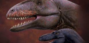 Найден король динозавров, который жил до тираннозавров 