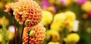 Август будет необычным: синоптики рассказали, какой будет погода в последний месяц лета