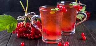 Что лечит калина в организме человека