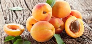 Чем полезен и опасен абрикос