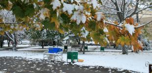 Синоптики рассказали, ждать ли в октябре раннего снега