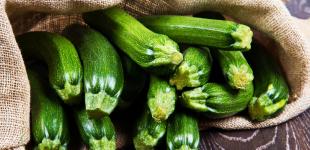 Кому нельзя есть кабачки