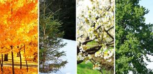 В Украине изменилась продолжительность сезонов