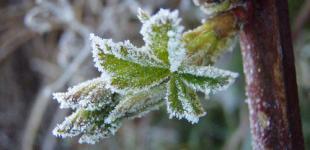 В Украину идет похолодание - снег с дождем и до 8° мороза