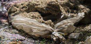 В Днепропетровской области нашли 